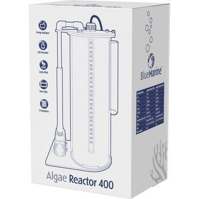 Blue Marine Algae Reactor Blue Marine Algae Reactor