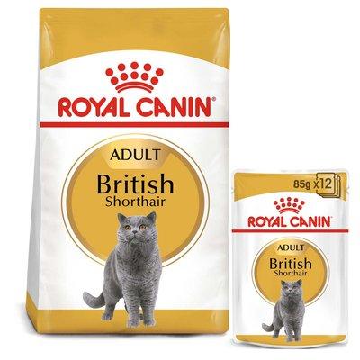 ROYAL CANIN ADULT British Shorthair 10kg + Nassfutter in Soße 48x85g ROYAL CANIN ADULT British Shorthair 10kg + Nassfutter in Soße 48x85g
