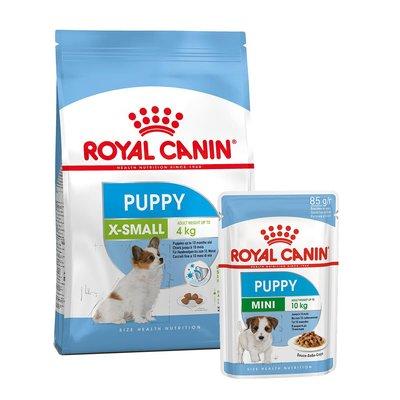 ROYAL CANIN X-Small Puppy 1,5kg + Mini Puppy in Soße 12x85g ROYAL CANIN X-Small Puppy 1,5kg + Mini Puppy in Soße 12x85g