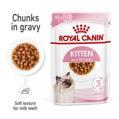 ROYAL CANIN KITTEN Nassfutter in Soße für Kätzchen ROYAL CANIN KITTEN Nassfutter in Soße für Kätzchen
