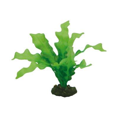 Hobby Aquariumdekoration Echinodrus 20 cm Hobby Aquariumdekoration Echinodrus 20 cm