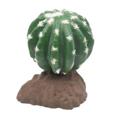 Lucky Reptile Kugelkaktus 13 cm Lucky Reptile Kugelkaktus 13 cm