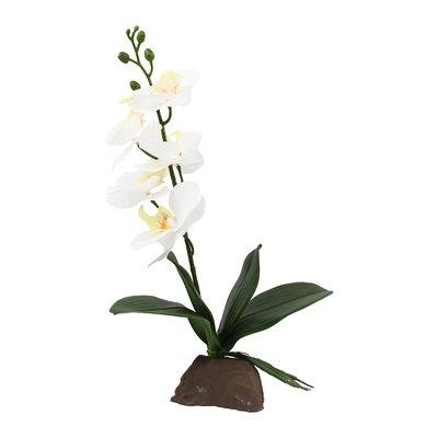 Lucky Reptile Orchidee klein weiß 35 cm Lucky Reptile Orchidee klein weiß 35 cm