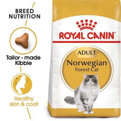 ROYAL CANIN Norwegian Forest Cat Adult Trockenfutter für Norwegische Waldkatzen ROYAL CANIN Norwegian Forest Cat Adult Trockenfutter für Norwegische Waldkatzen