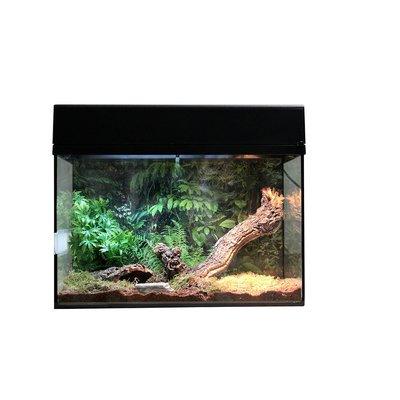 Lucky Reptile Terrarium Starter Kit 50 cm "Spinne + Skorpion" Lucky Reptile Terrarium Starter Kit 50 cm "Spinne + Skorpion"