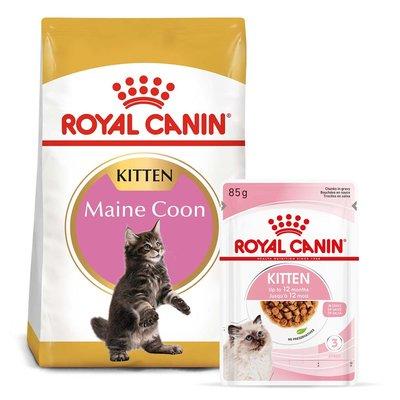 ROYAL CANIN KITTEN Maine Coon 4kg + Kitten in Soße 12x85g ROYAL CANIN KITTEN Maine Coon 4kg + Kitten in Soße 12x85g