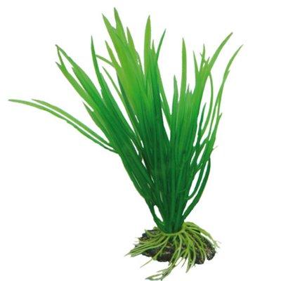 Hobby Aquariumdekoration Cyperus 16 cm Hobby Aquariumdekoration Cyperus 16 cm