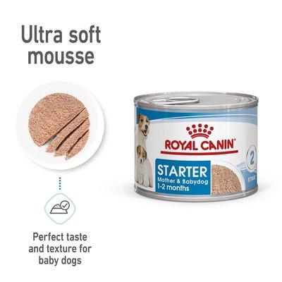 ROYAL CANIN SHN Starter Loaf Can 12x195g ROYAL CANIN SHN Starter Loaf Can 12x195g