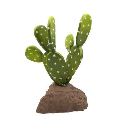 Lucky Reptile Biberschwanzkaktus 15 cm Lucky Reptile Biberschwanzkaktus 15 cm