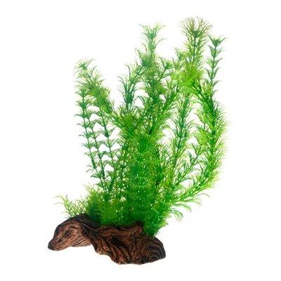 Hobby Aquariumdekoration Flora Root 3 Hobby Aquariumdekoration Flora Root 3