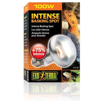 Exo Terra Intense Basking Spot 4+1 gratis 100 Watt Exo Terra Intense Basking Spot 4+1 gratis 100 Watt