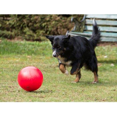 Procyon Treibball rot Procyon Treibball rot