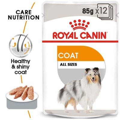 ROYAL CANIN COAT CARE Nassfutter für glänzendes Fell 12x85g ROYAL CANIN COAT CARE Nassfutter für glänzendes Fell 12x85g