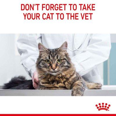 Royal Canin FCN Appetite Control Royal Canin FCN Appetite Control