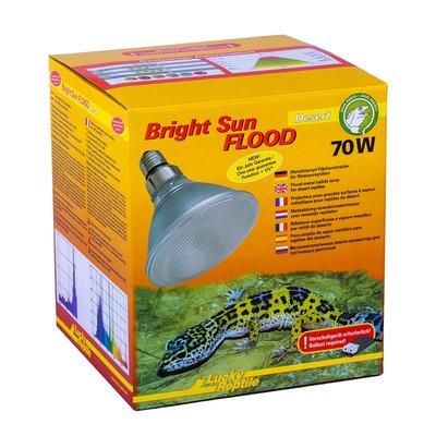 Lucky Reptile Bright Sun FLOOD Desert 70W Lucky Reptile Bright Sun FLOOD Desert 70W