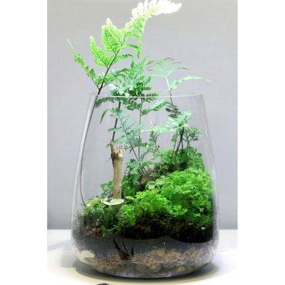 ONF Moss Micro Landscape Set ONF Moss Micro Landscape Set
