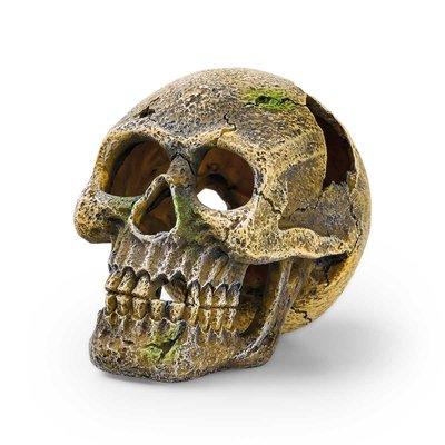 EDEN Totenkopf EDEN Totenkopf