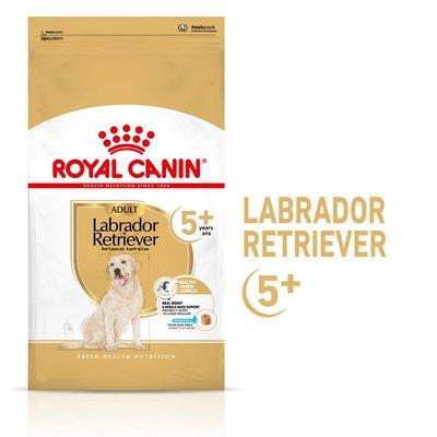 ROYAL CANIN Labrador Retriever Adult 5+ Trockenfutter für Hunde ab 5 Jahren ROYAL CANIN Labrador Retriever Adult 5+ Trockenfutter für Hunde ab 5 Jahren