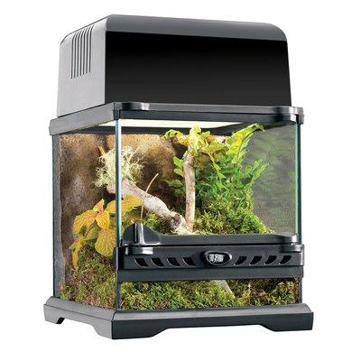 Exo Terra Natural Nano-Terrarium "Wide" 20x20x20cm Exo Terra Natural Nano-Terrarium "Wide" 20x20x20cm
