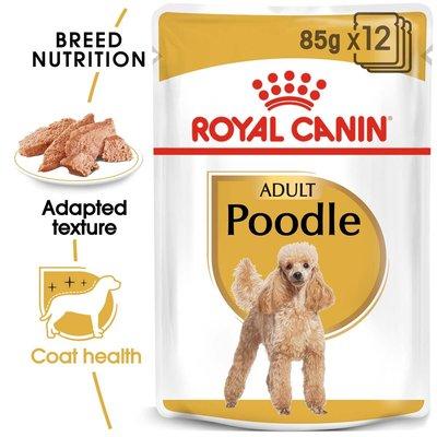 ROYAL CANIN Poodle Adult in Soße Hundefutter nass für Pudel 12x85g ROYAL CANIN Poodle Adult in Soße Hundefutter nass für Pudel 12x85g