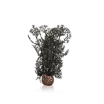 biOrb Hornkoralle schwarz biOrb Hornkoralle schwarz
