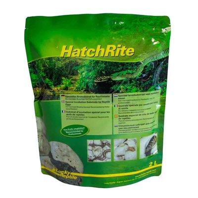 Lucky Reptile HatchRite Brutsubstrat 2 l Lucky Reptile HatchRite Brutsubstrat 2 l
