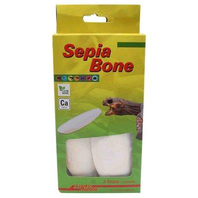 Lucky Reptile Sepia Bone Doppelblister Lucky Reptile Sepia Bone Doppelblister