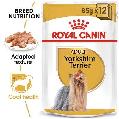 Royal Canin Breed Health Nutrition Yorkshire Terrier 12x85g Royal Canin Breed Health Nutrition Yorkshire Terrier 12x85g