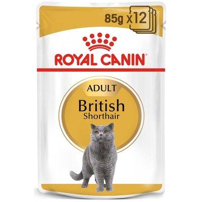 ROYAL CANIN British Shorthair Adult Katzenfutter nass für Britisch Kurzhaar ROYAL CANIN British Shorthair Adult Katzenfutter nass für Britisch Kurzhaar