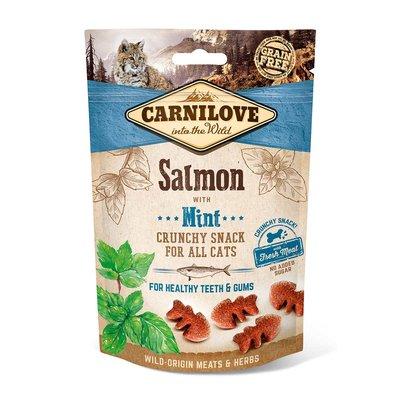 Carnilove Cat - Crunchy Snack - Salmon with Mint Carnilove Cat - Crunchy Snack - Salmon with Mint