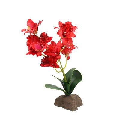 Lucky Reptile Orchidee groß rot 30 cm Lucky Reptile Orchidee groß rot 30 cm