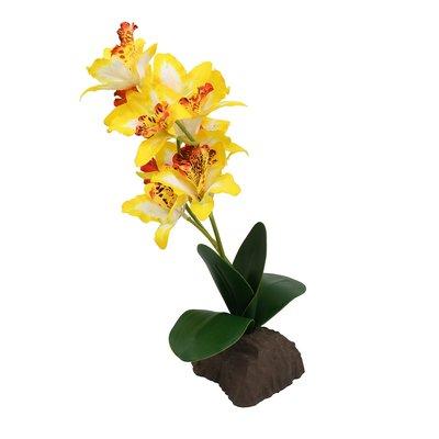 Lucky Reptile Orchidee groß gelb 35 cm Lucky Reptile Orchidee groß gelb 35 cm