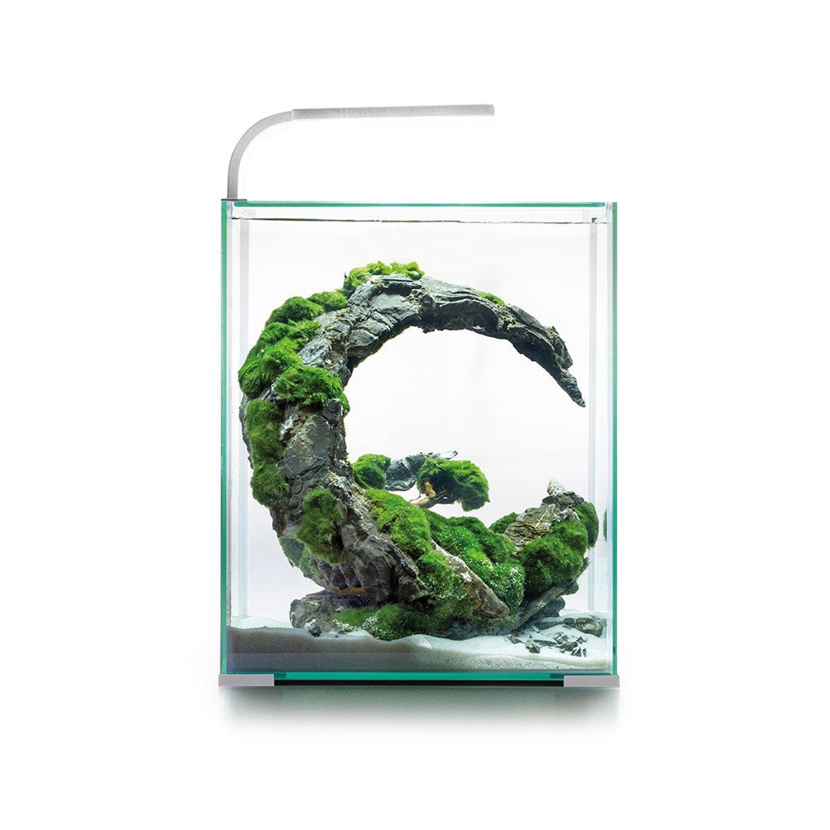 Aquael Weiß Shrimp Set Tag Und Nacht 30 Liter, 29 X 29 X 35 Cm