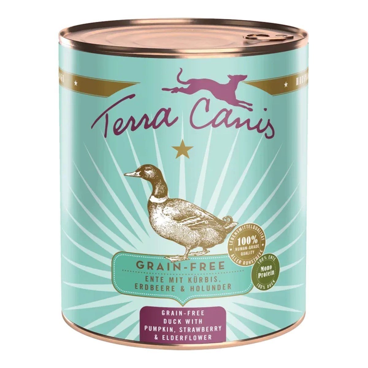 Terra Canis getreidefrei Ente mit Kürbis, Erdbeeren und Holunder 12x800g