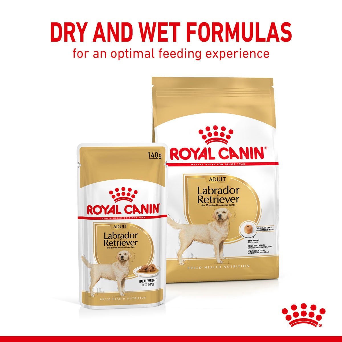 ROYAL CANIN Labrador Retriever Adult 3kg + Labrador Adult in Soße 10x140g