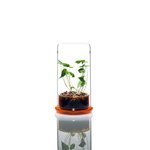 ADA DOOA Cell Glasgefäß Clear