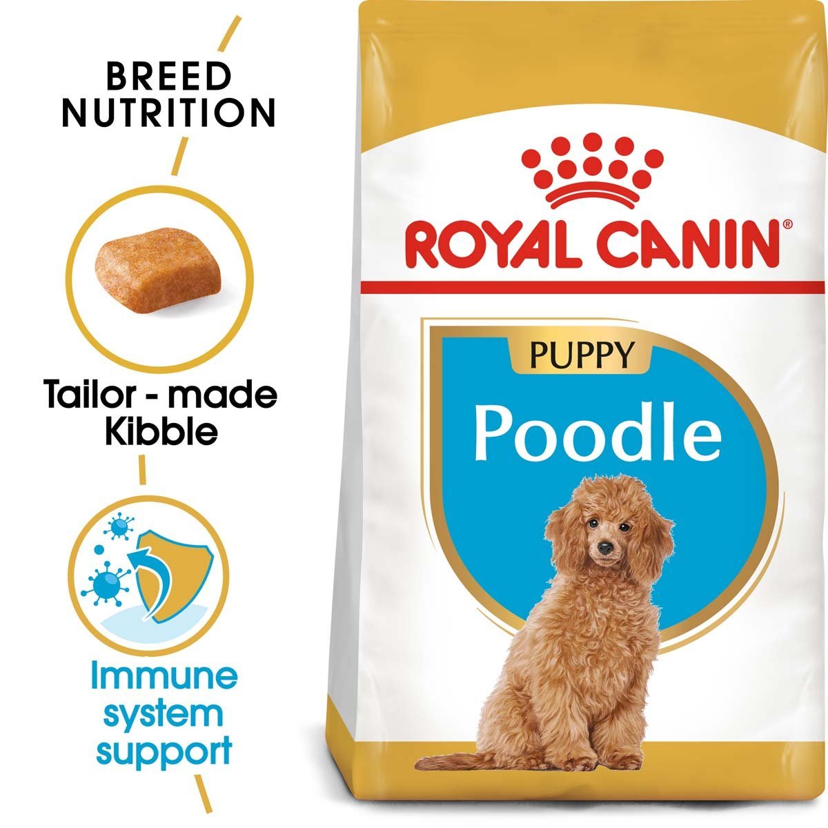 ROYAL CANIN Poodle Puppy Welpenfutter trocken für Pudel 3kg