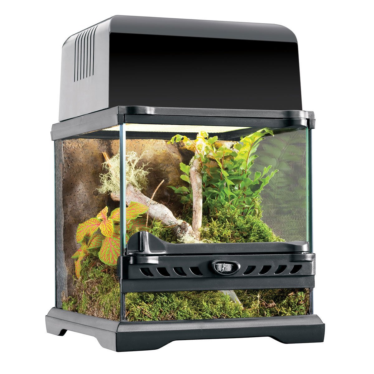"Exo Terra Natural Nano-Terrarium ""Wide"" 20x20x20cm"
