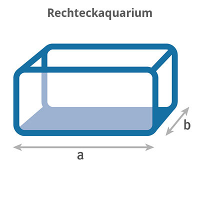 Rechteckaquarium