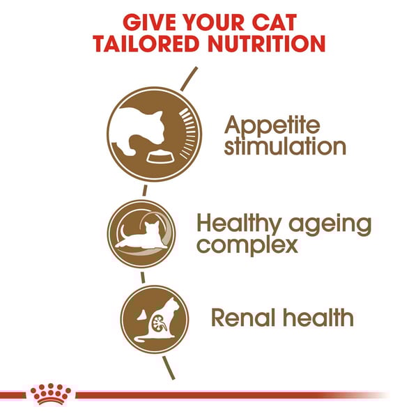 ROYAL CANIN AGEING 12 Trockenfutter 4kg Nassfutter 12x85g