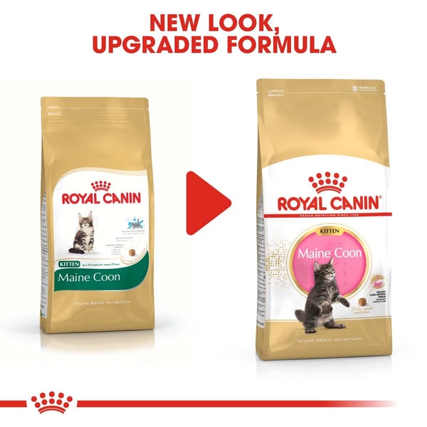 ROYAL CANIN Maine Coon Trockenfutter fur Katzchen bei ZooRoyal