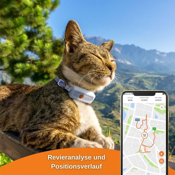 Weenect XS GPS Tracker fur Katzen gunstig kaufen bei ZooRoyal