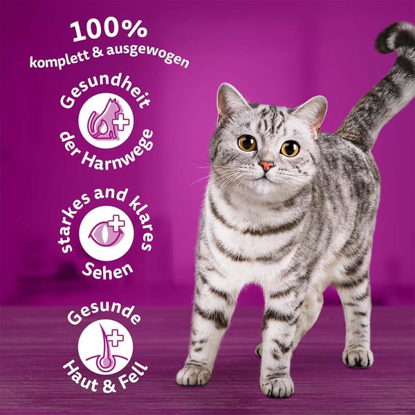 Whiskas dry new arrivals