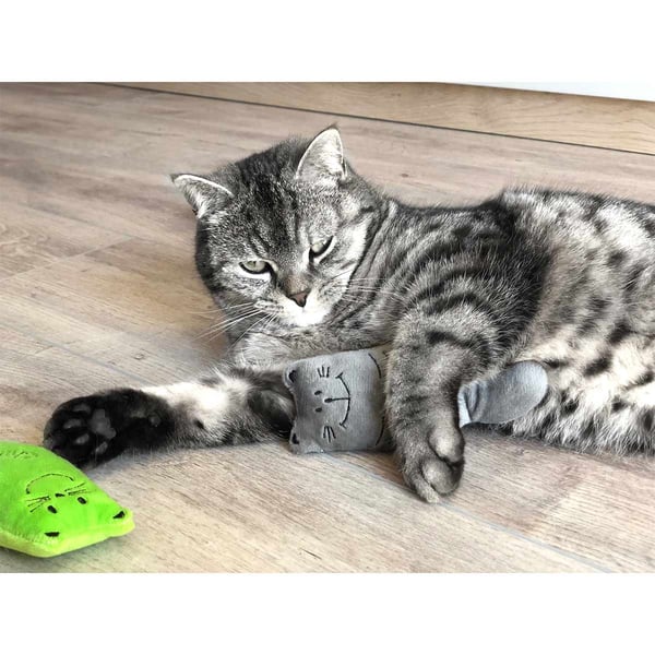 Aumüller Katzenspielkissen Schweinchen Peggy 3er Set - Mit Baldrian & Raschelspelz