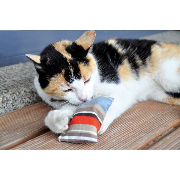 Aumüller Baldrian Schmusekissen Für Katzen 3er Set - Baldini Kissen Made In Germany