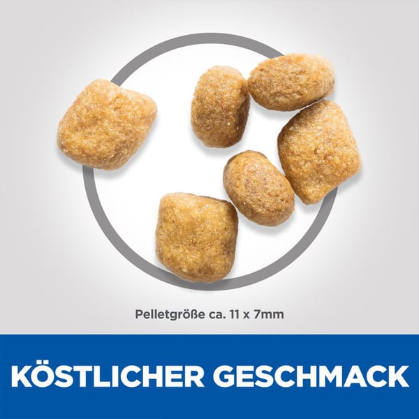 Hill's Science Plan Katze Oral Care Adult Huhn 1,5kg bei ZooRoyal