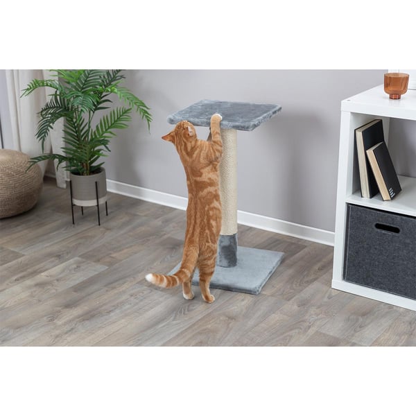 Tiragraffi Per Gatti TRIXIE Baena - 69 Cm, Beige, Superficie 38x38 Cm, Per Cura Unghie, Design Moderno - 7