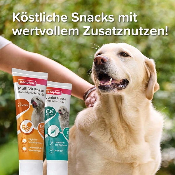 Beaphar multi vitamin paste for dogs clearance