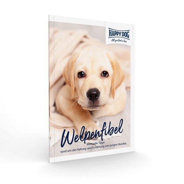 Happy sales dog box