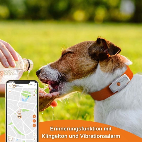 Weenect XS GPS Tracker für Hunde Weiß günstig kaufen bei ZooRoyal